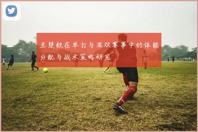 王楚钦在单打与混双赛事中的体能分配与战术策略研究